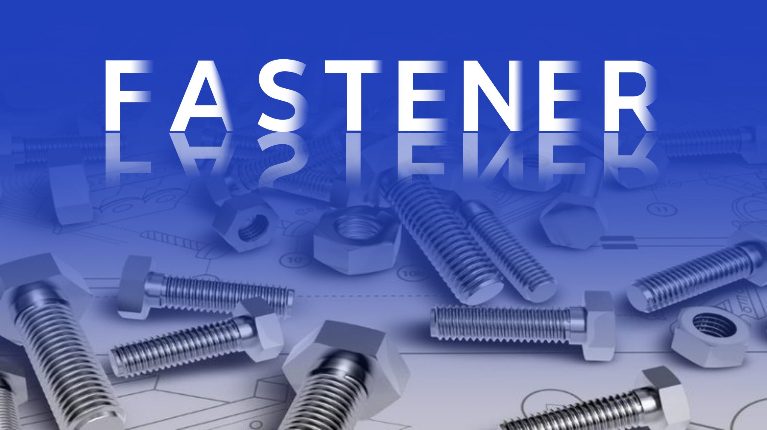 Fasteners for The Automotive Industr