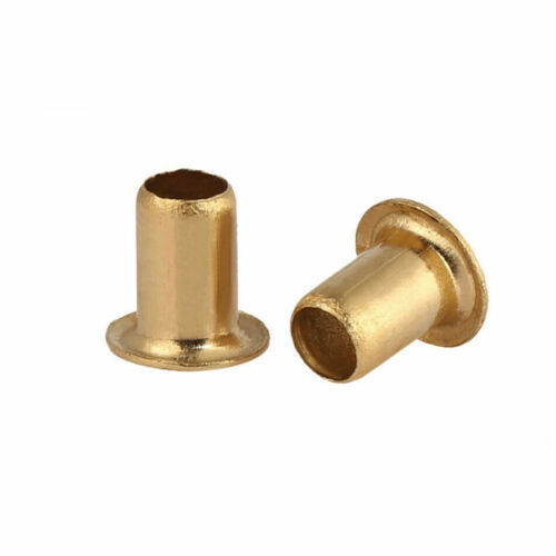 Brass Rivets