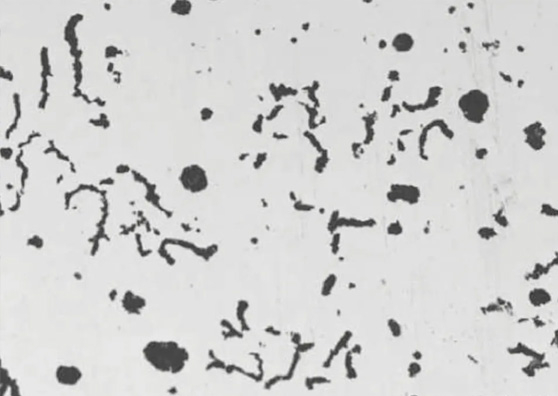 metal matrix of vermicular iron